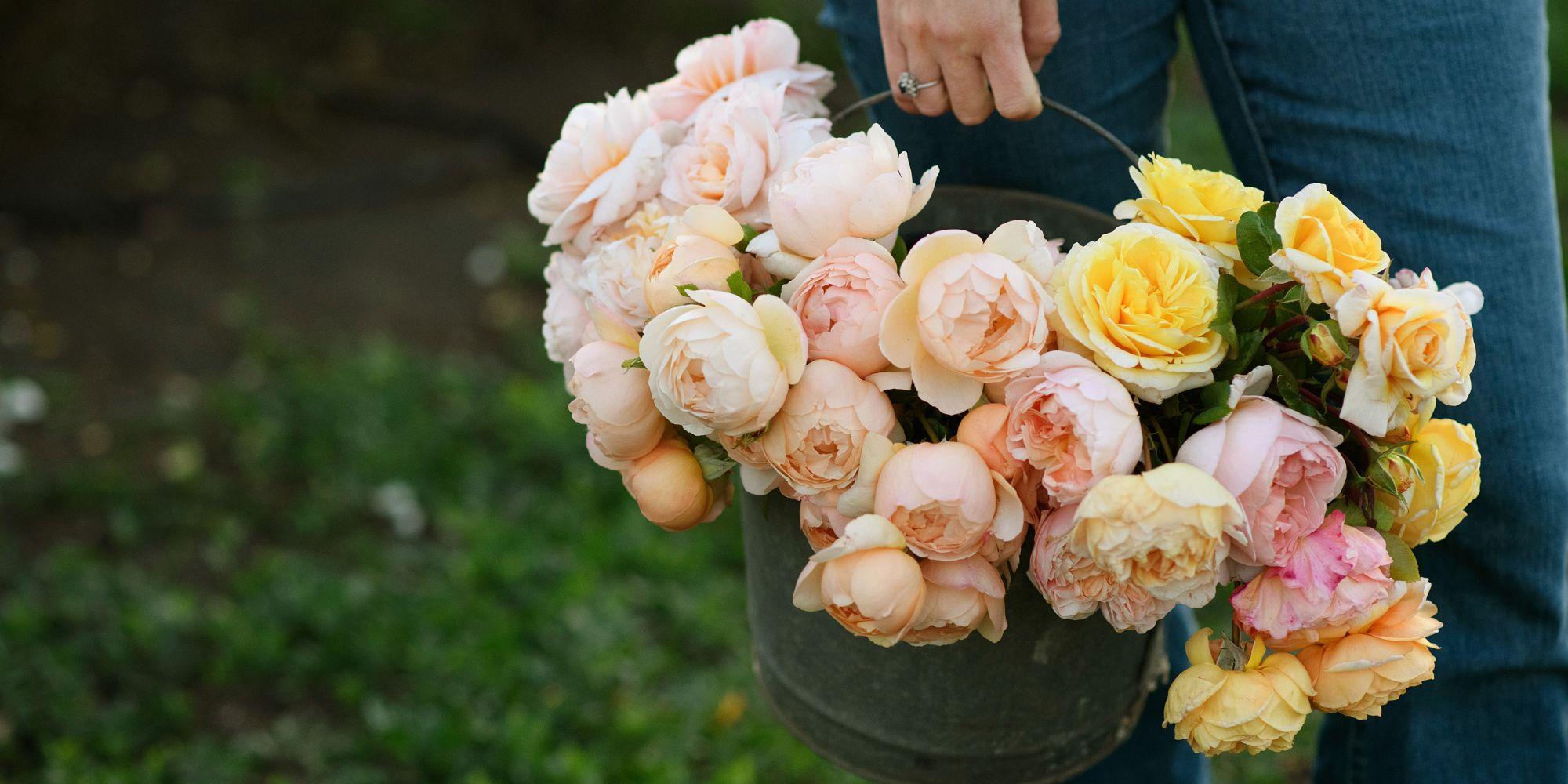 CUT FLOWER BOUQUETS